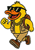 Duck